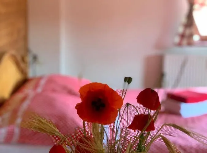Selsky Dvur Guest house